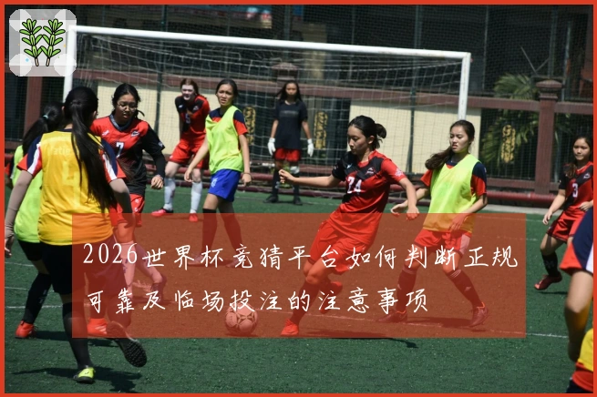 2026世界杯竞猜平台如何判断正规可靠及临场投注的注意事项