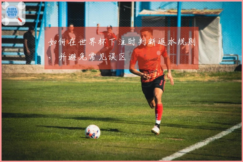 如何在世界杯下注时判断返水规则，并避免常见误区