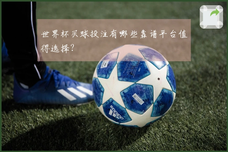 世界杯买球投注有哪些靠谱平台值得选择？