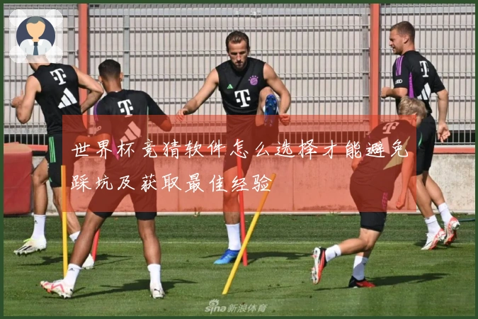 世界杯竞猜软件怎么选择才能避免踩坑及获取最佳经验
