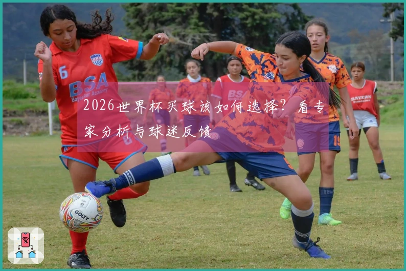 2026世界杯买球该如何选择？看专家分析与球迷反馈