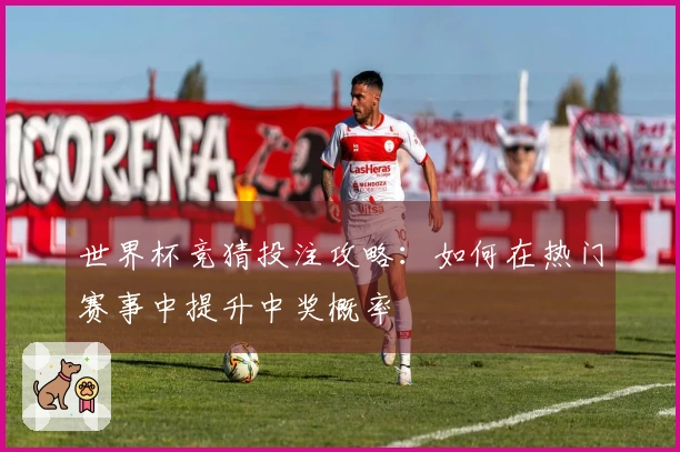 世界杯竞猜投注攻略：如何在热门赛事中提升中奖概率