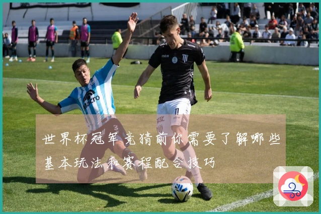 世界杯冠军竞猜前你需要了解哪些基本玩法和赛程配合技巧