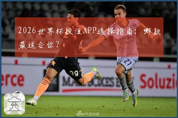 2026世界杯投注APP选择指南：哪款最适合你？