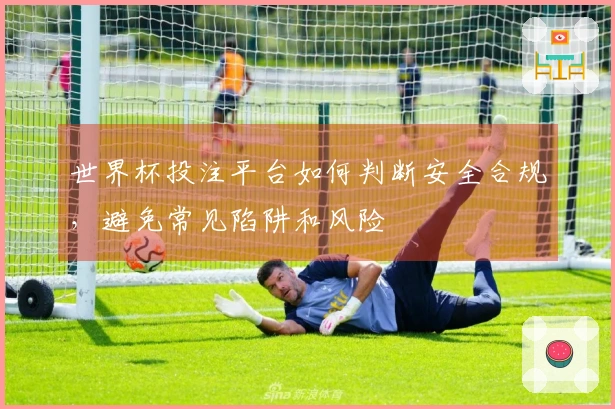 世界杯投注平台如何判断安全合规，避免常见陷阱和风险