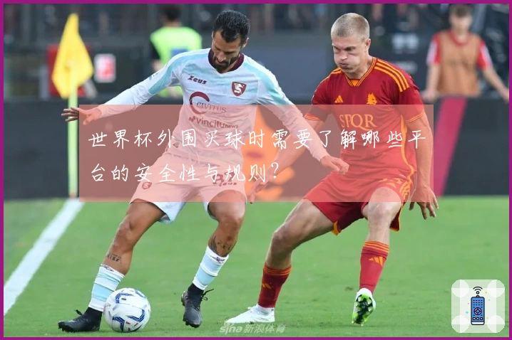 世界杯外围买球时需要了解哪些平台的安全性与规则？