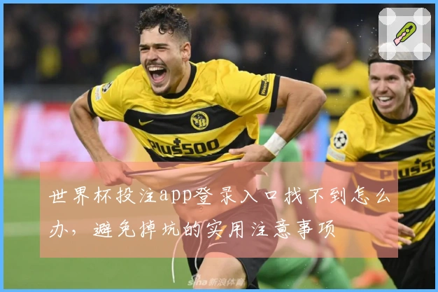 世界杯投注app登录入口找不到怎么办，避免掉坑的实用注意事项
