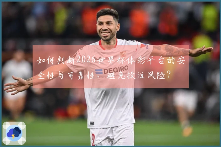 如何判断2026世界杯体彩平台的安全性与可靠性，避免投注风险？