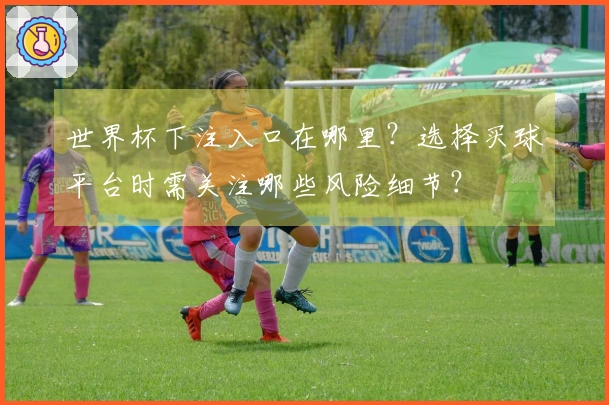世界杯下注入口在哪里？选择买球平台时需关注哪些风险细节？