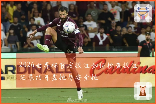 2026世界杯官方投注如何检查投注记录的可靠性与安全性