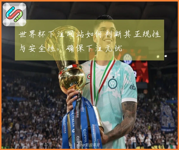 世界杯下注网站如何判断其正规性与安全性，确保下注无忧