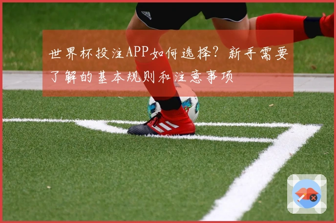 世界杯投注APP如何选择？新手需要了解的基本规则和注意事项