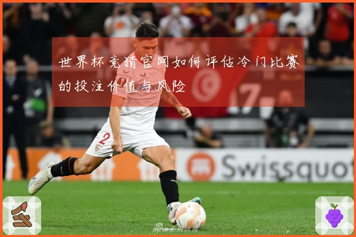 世界杯竞猜官网如何评估冷门比赛的投注价值与风险