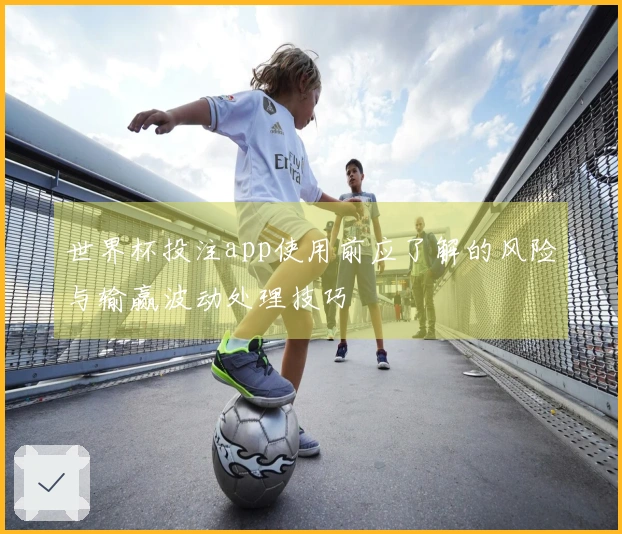 世界杯投注app使用前应了解的风险与输赢波动处理技巧