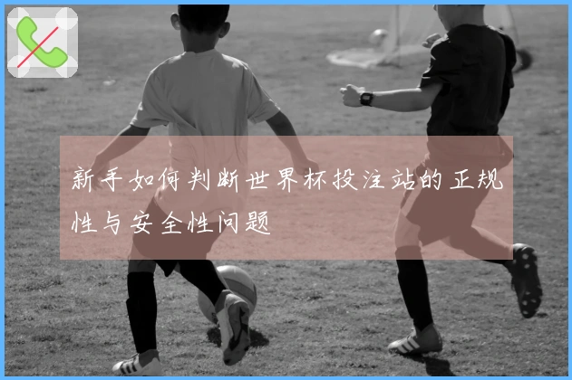 新手如何判断世界杯投注站的正规性与安全性问题