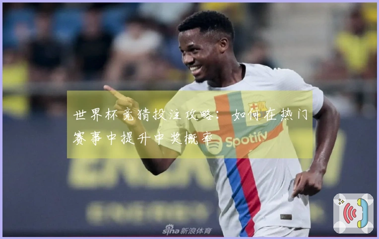世界杯竞猜投注攻略：如何在热门赛事中提升中奖概率