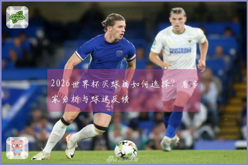 2026世界杯买球该如何选择？看专家分析与球迷反馈