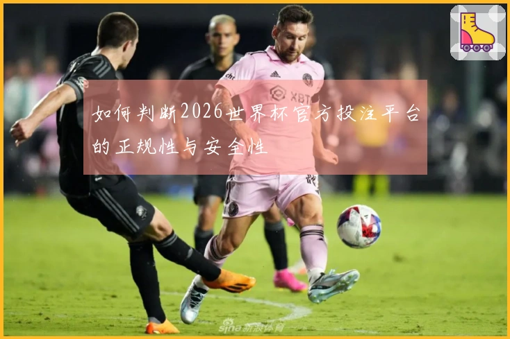 如何判断2026世界杯官方投注平台的正规性与安全性