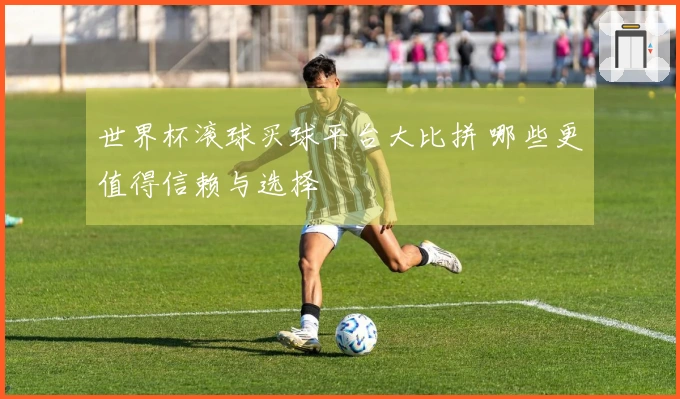 世界杯滚球买球平台大比拼 哪些更值得信赖与选择