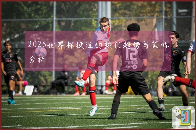 2026世界杯投注的热门趋势与策略分析