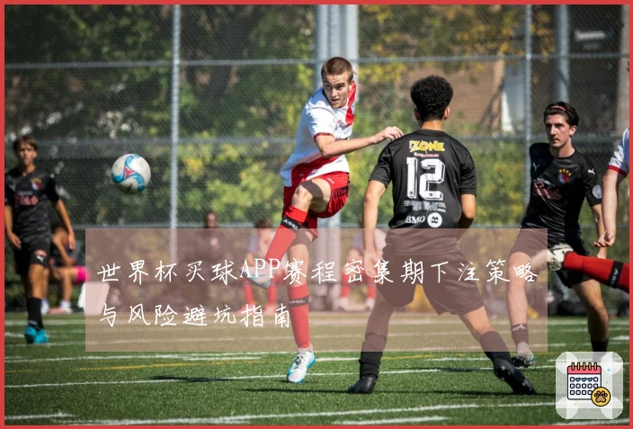 世界杯买球APP赛程密集期下注策略与风险避坑指南