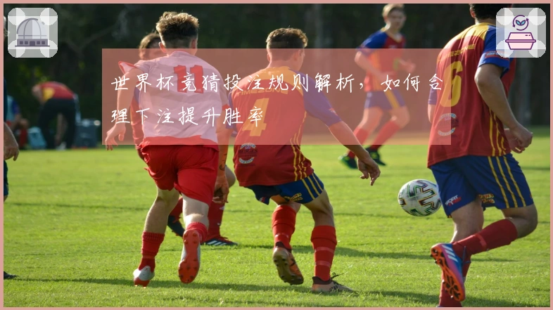 世界杯竞猜投注规则解析，如何合理下注提升胜率
