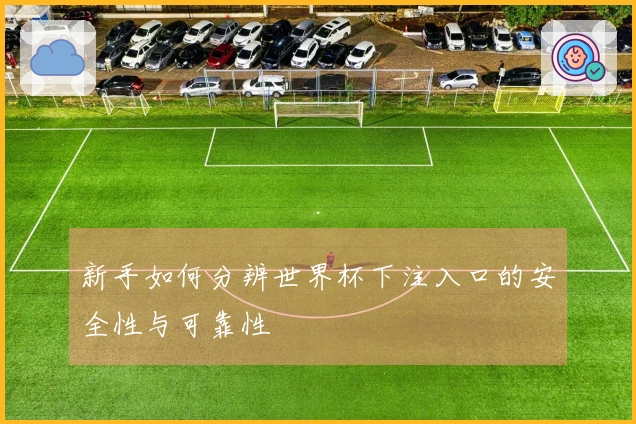 新手如何分辨世界杯下注入口的安全性与可靠性