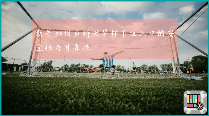 新手如何分辨世界杯下注入口的安全性与可靠性