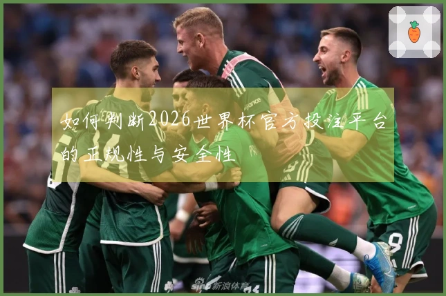 如何判断2026世界杯官方投注平台的正规性与安全性