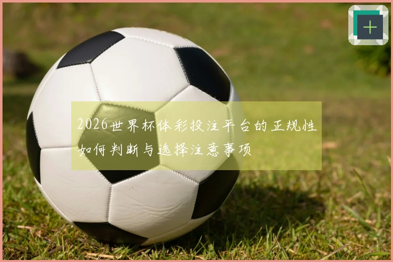 2026世界杯体彩投注平台的正规性如何判断与选择注意事项