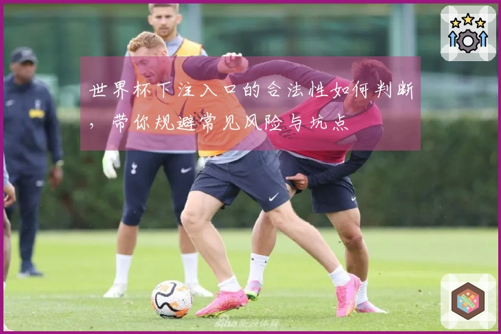 世界杯下注入口的合法性如何判断，带你规避常见风险与坑点