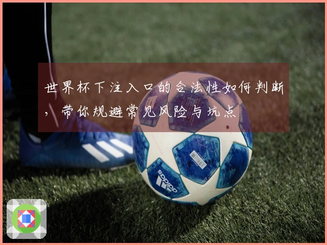 世界杯下注入口的合法性如何判断，带你规避常见风险与坑点