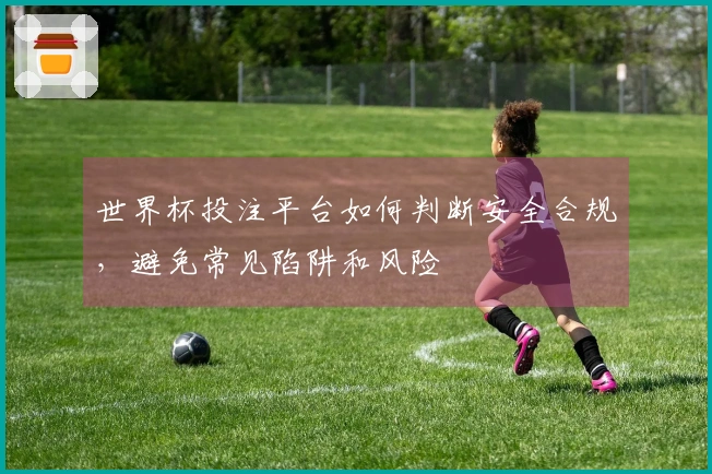世界杯投注平台如何判断安全合规，避免常见陷阱和风险