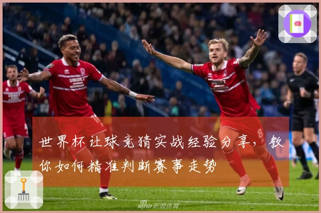 世界杯让球竞猜实战经验分享，教你如何精准判断赛事走势