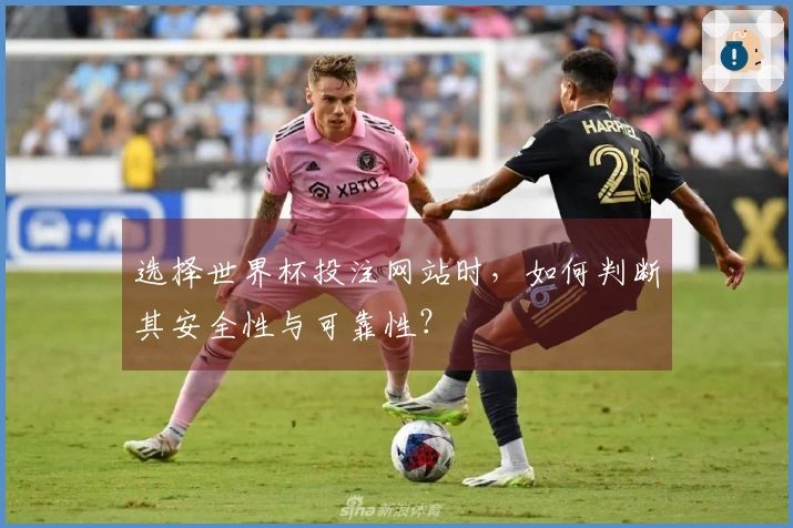 选择世界杯投注网站时，如何判断其安全性与可靠性？