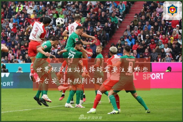 世界杯投注站选择时需要注意哪些平台安全和规则问题