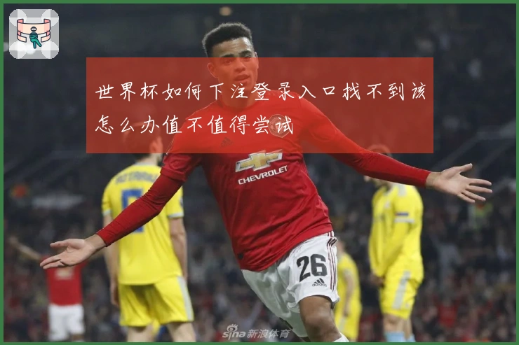 世界杯如何下注登录入口找不到该怎么办值不值得尝试